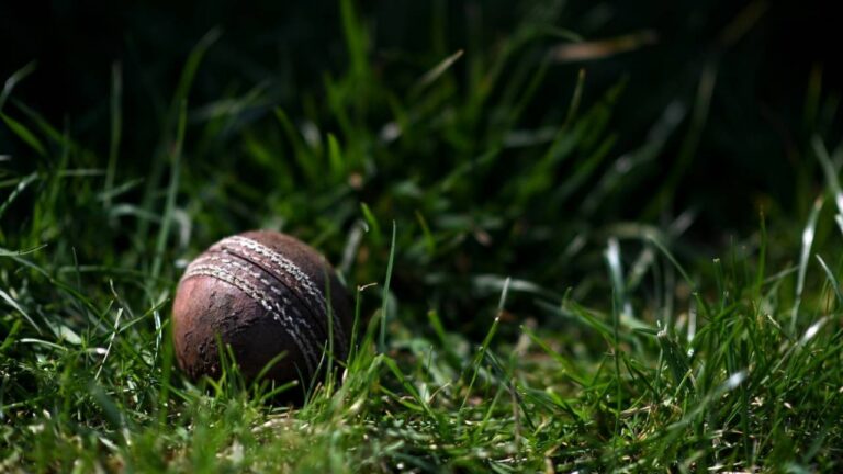 Former India Under-19 and Punjab Cricketer Amanpreet Singh Gill Passes Away at 36